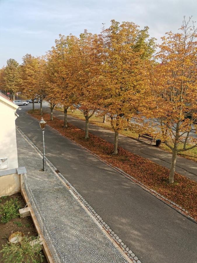 Alleeblick Ballenstedt Exterior foto