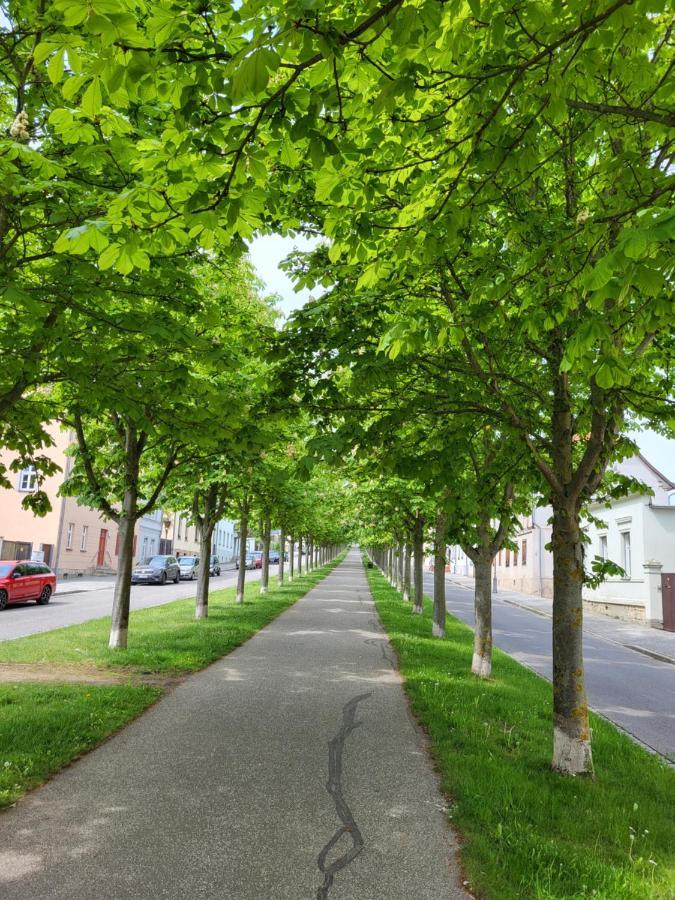 Alleeblick Ballenstedt Exterior foto